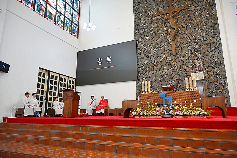 DSC_1293.jpg