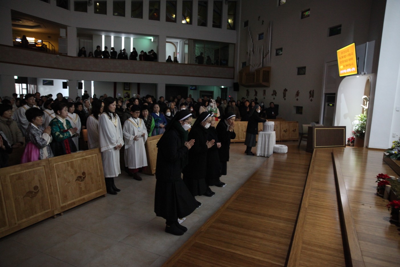IMG_4321_copy_1404x936.jpg