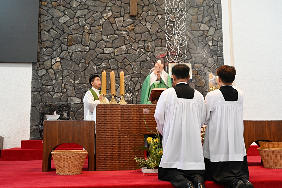 batch_DSC_1367.JPG