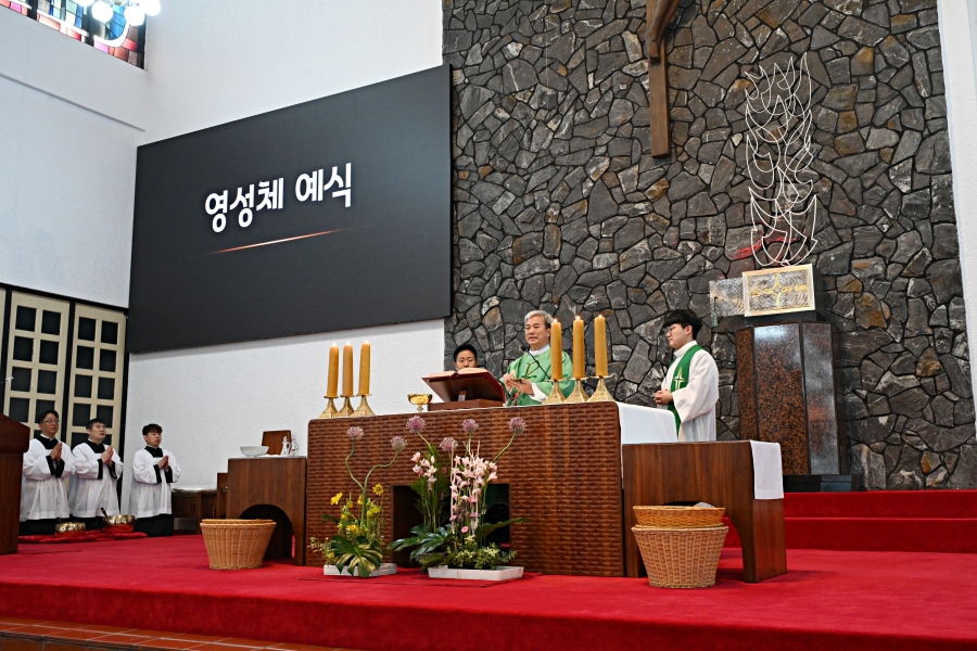 batch_DSC_1383.JPG