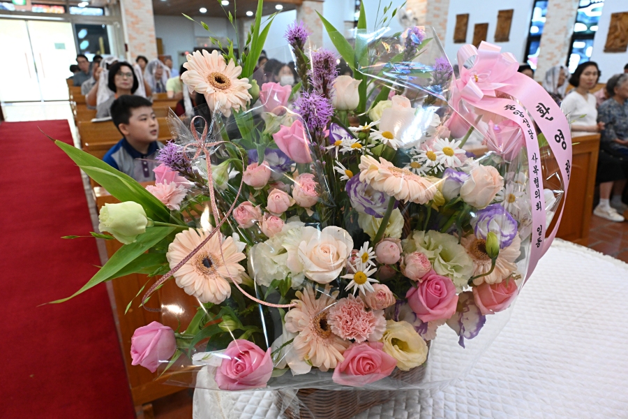 batch_DSC_1403.JPG