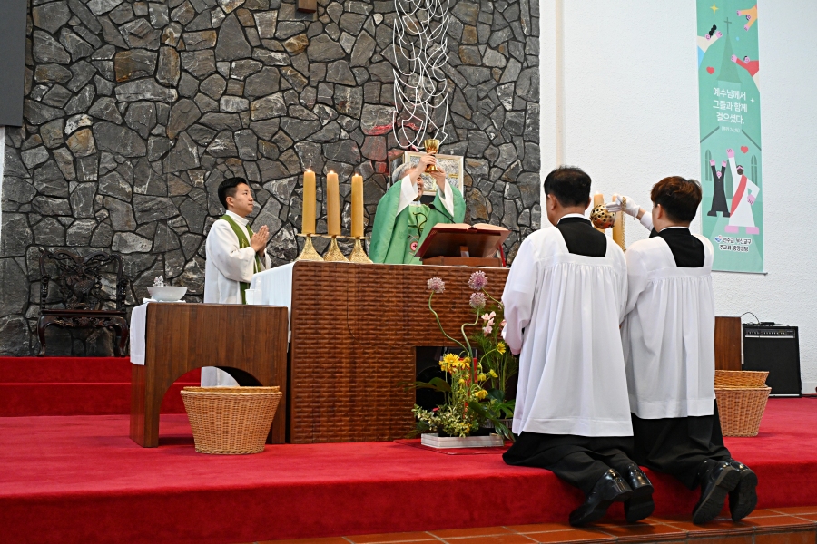 batch_DSC_1369.JPG