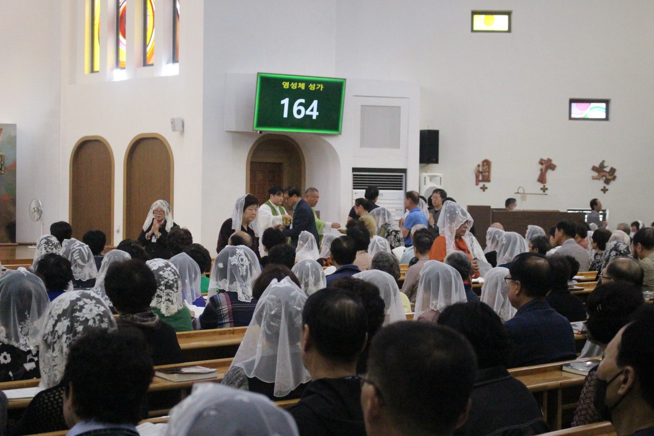 IMG_5398_copy_1296x864.jpg