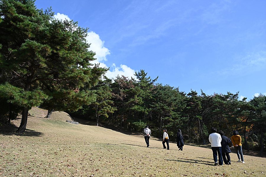 DSC_6461.jpg