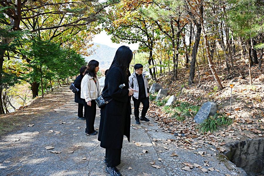 DSC_6453.jpg