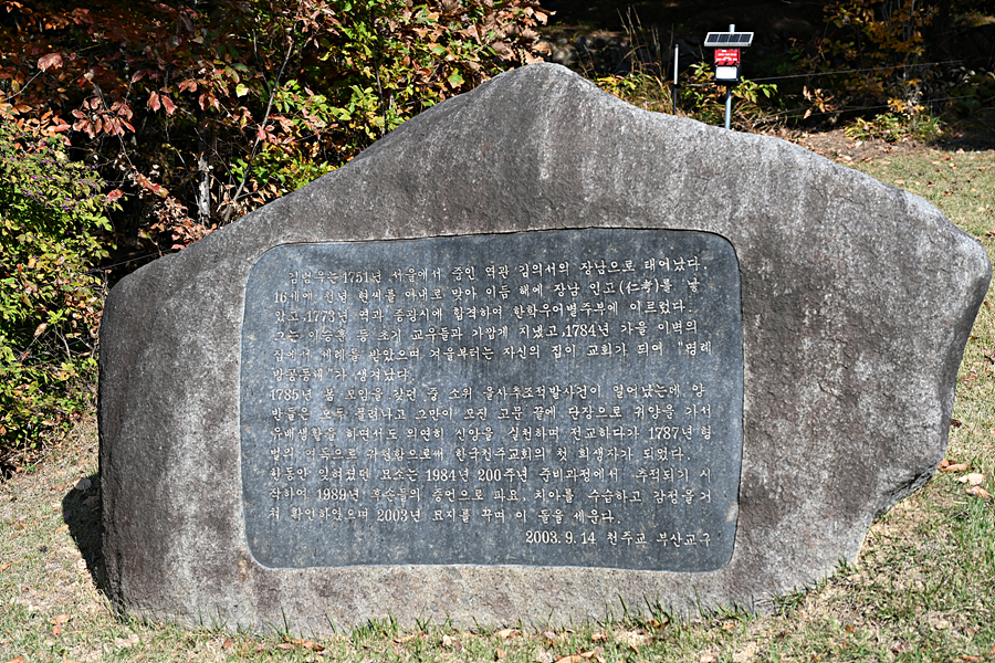 DSC_6456.jpg
