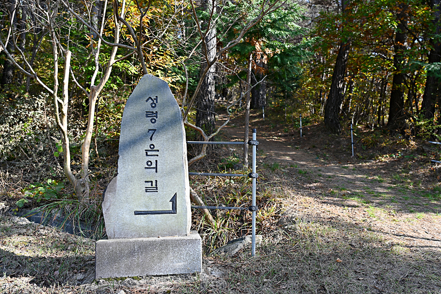 DSC_6498.jpg