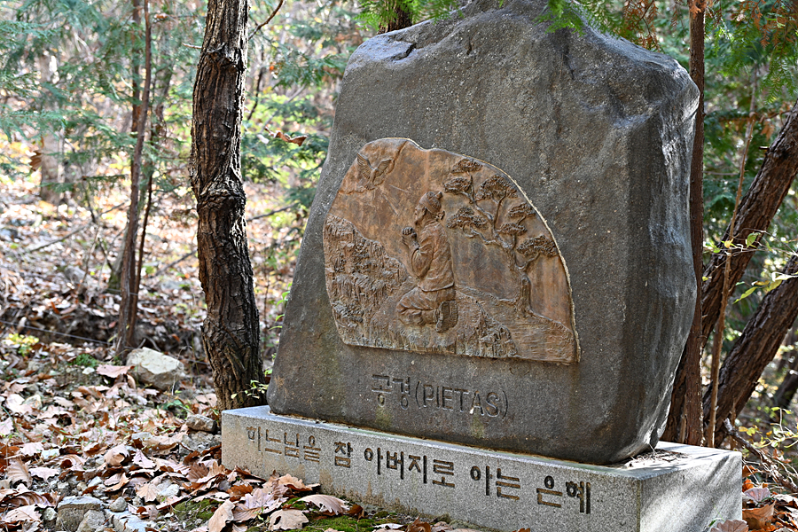 DSC_6495.jpg