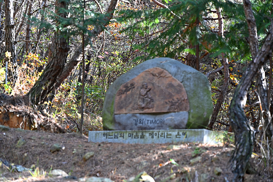 DSC_6490.jpg