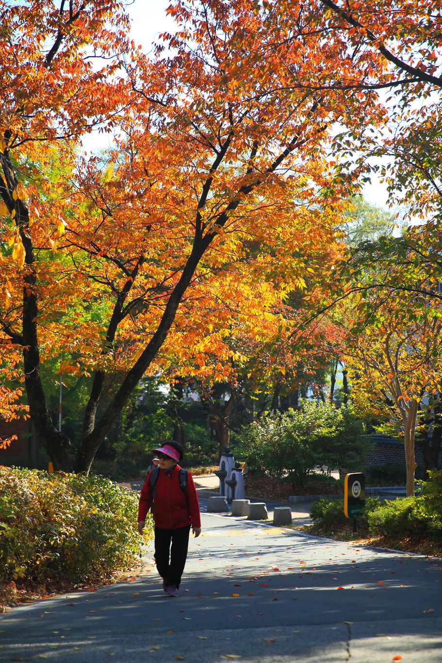 2019-11-09 성모당, 계산성당, 베네딕도 수도원 (16)_크기변경.JPG