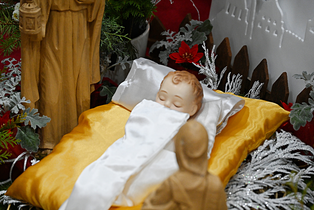 DSC_8420.jpg