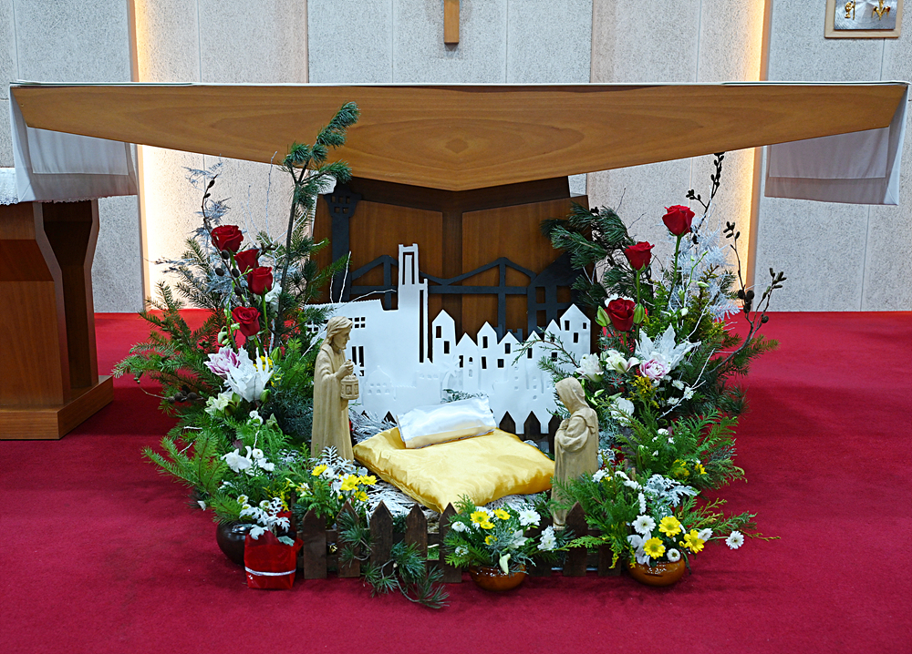 DSC_8415.jpg