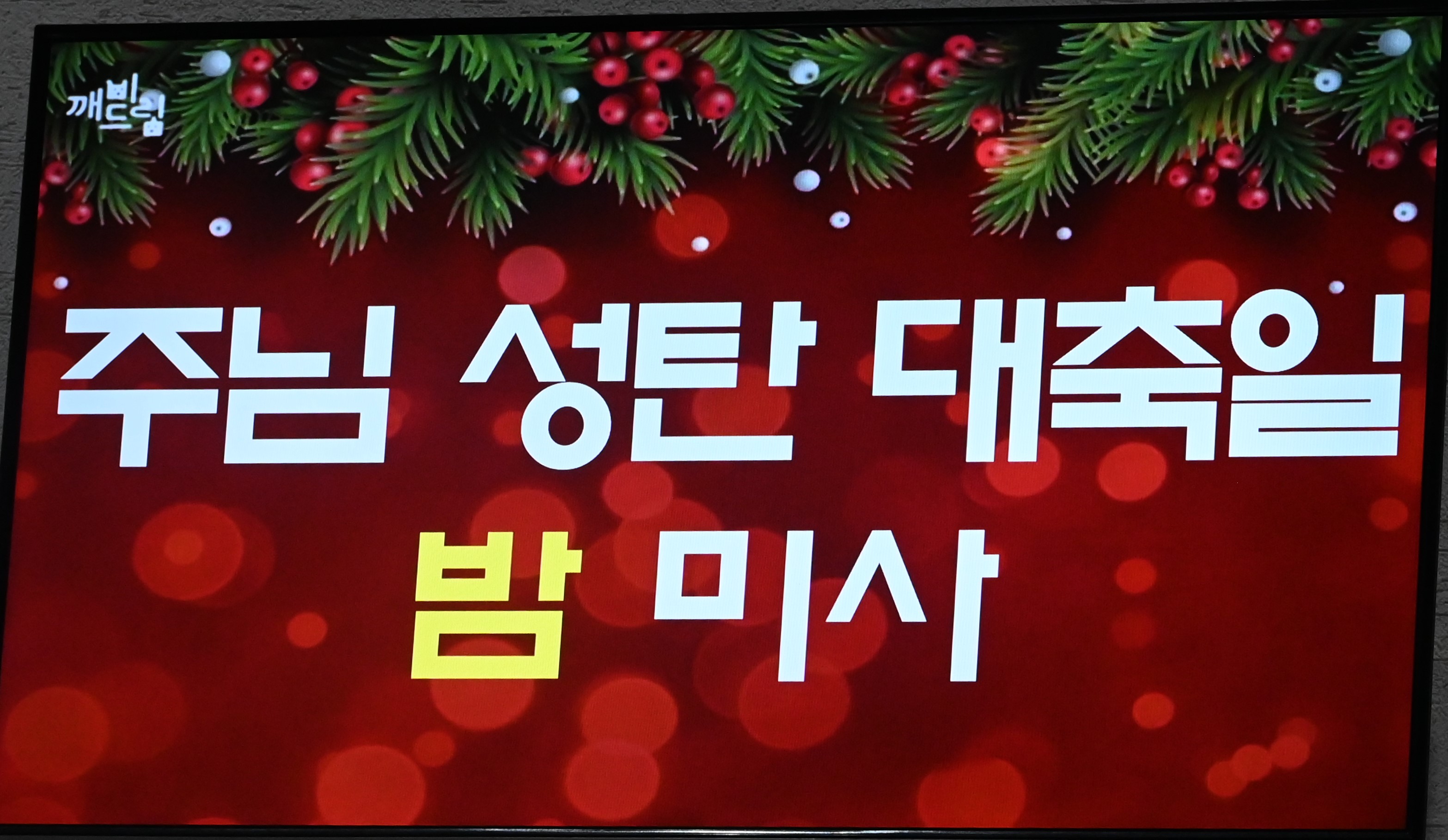 2024년12월24일-성탄밤미사제목.JPG