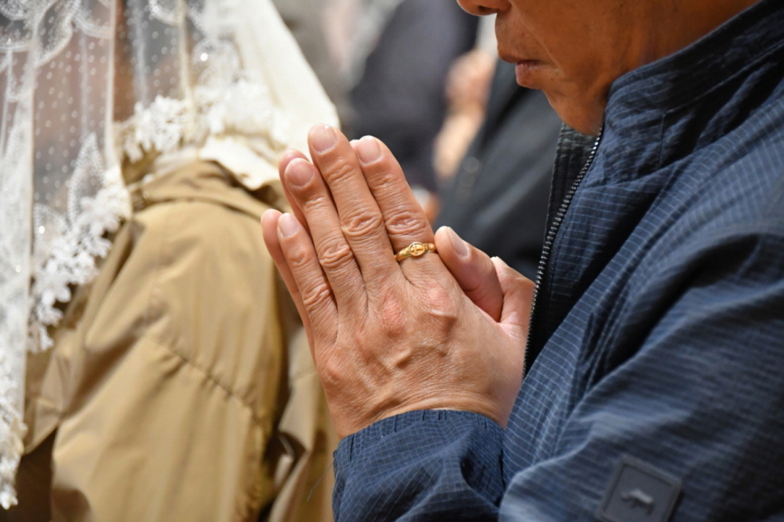 DSC_1906.JPG