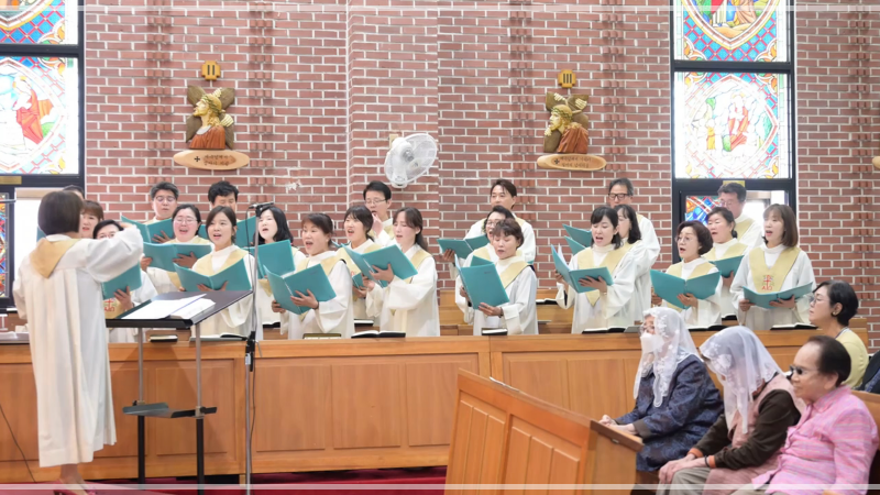 batch_망미_견진-022.png
