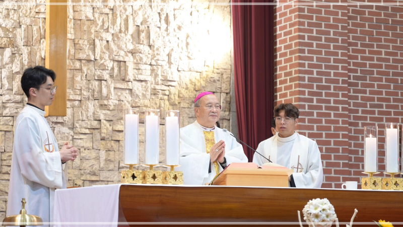 batch_망미_견진-002.png