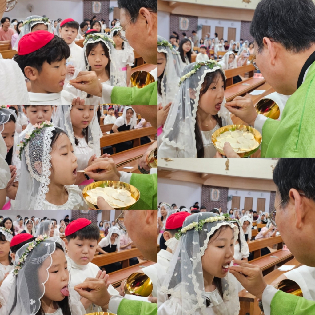KakaoTalk_20240708_223509302.jpg