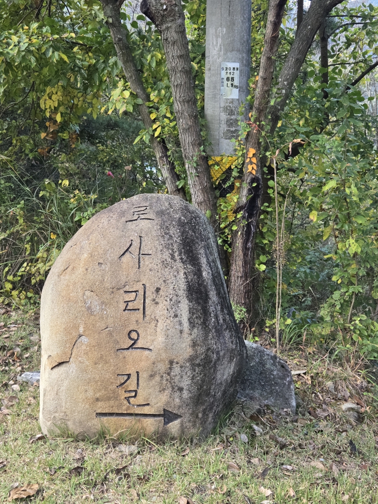 KakaoTalk_20241109_133716527.jpg