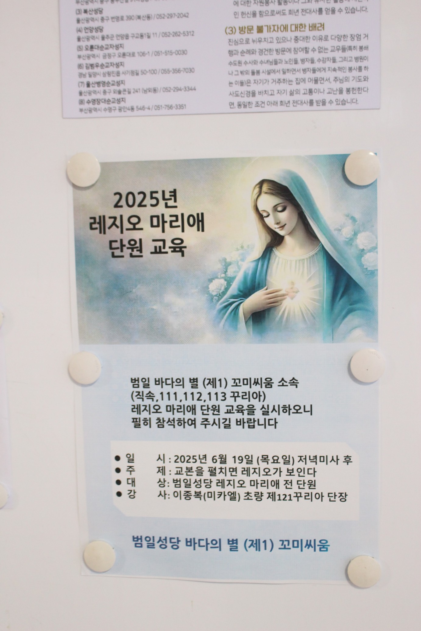 IMG_5121_copy_1382x2073.jpg