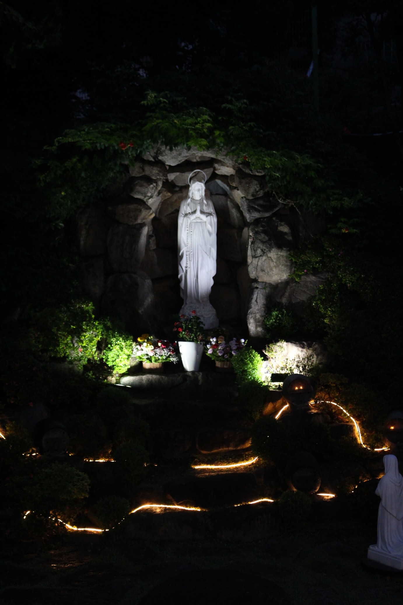 IMG_5163_copy_1382x2073.jpg