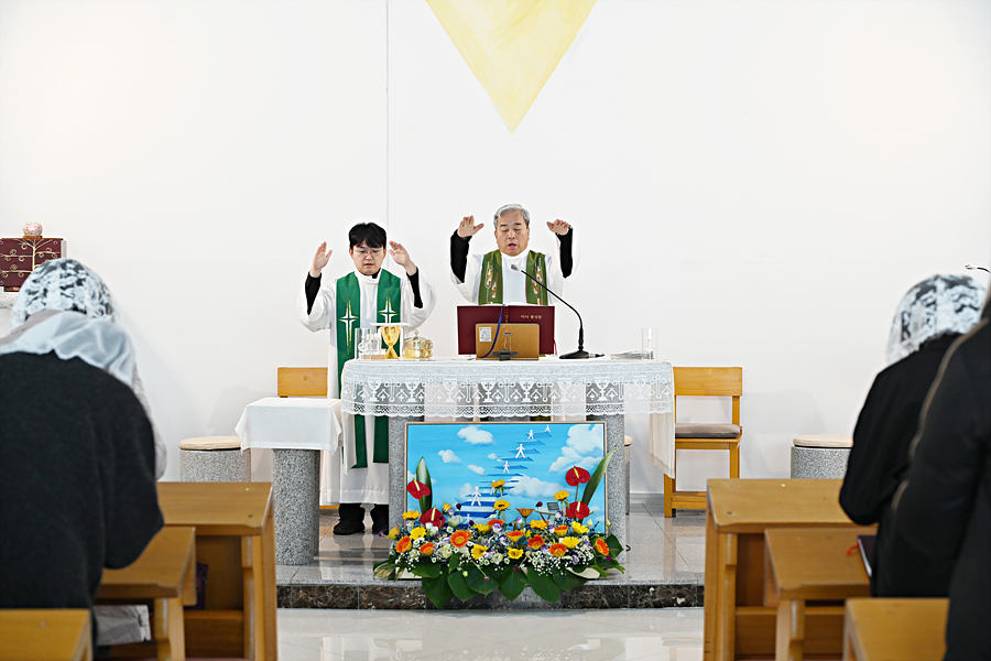 DSC_6223.jpg