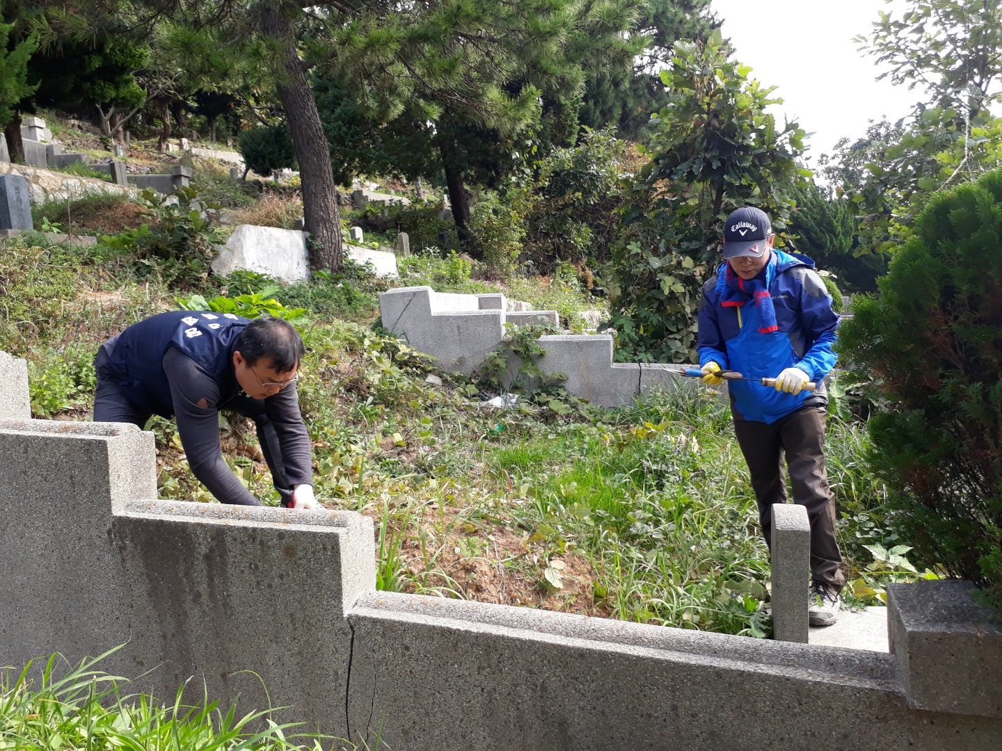 20191103망미성당누룩회용호동묘지무연고묘지벌초005.jpg