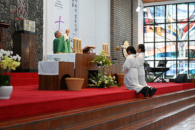 DSC_9777.jpg