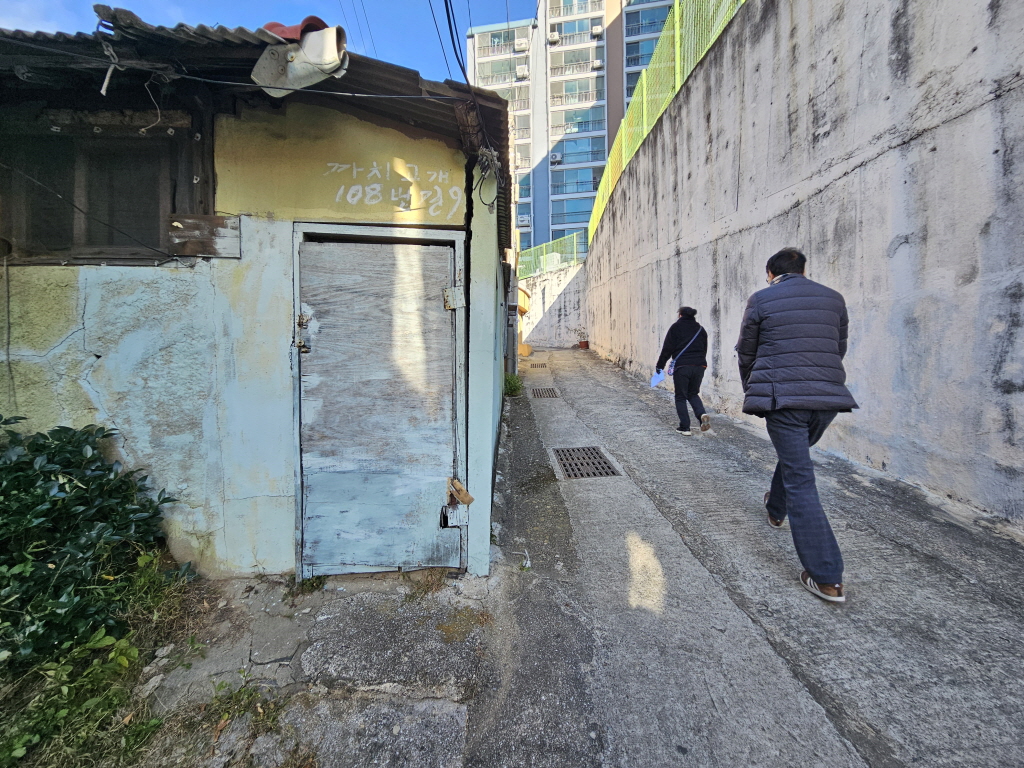[크기변환]1734146430545-5.jpg