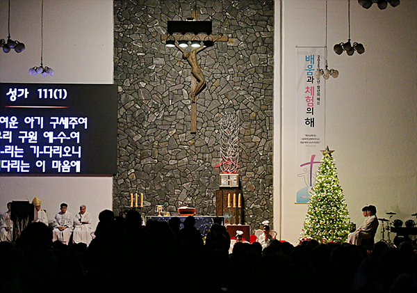 IMG_9366.jpg