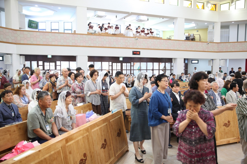 IMG_2874_copy_2246x1497.jpg