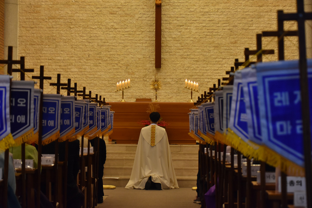 DSC_3856.jpg