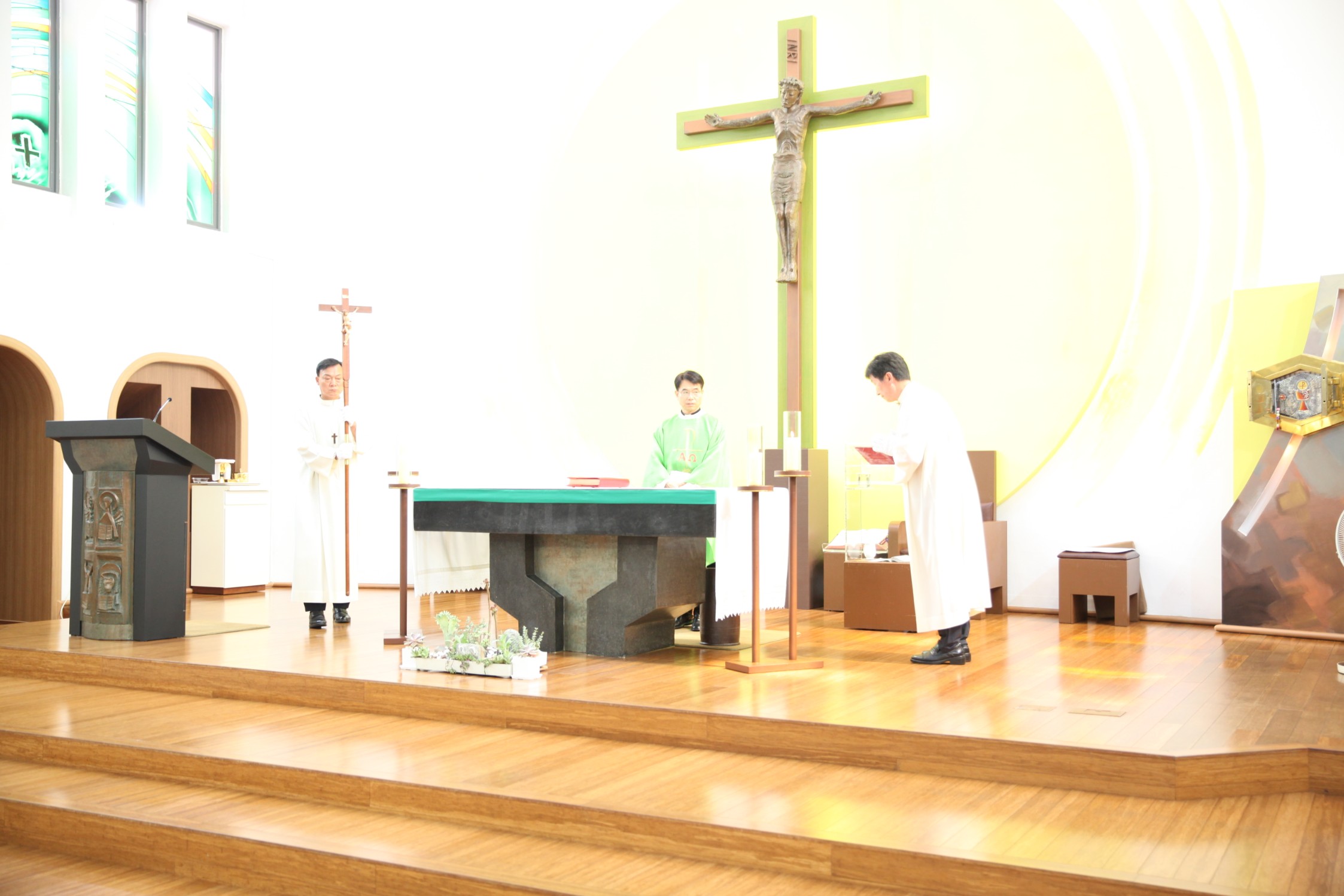 IMG_6171_copy_2246x1497.jpg