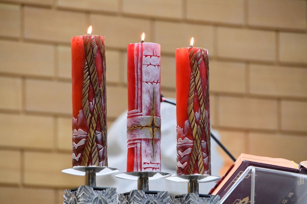 DSC_2010.JPG