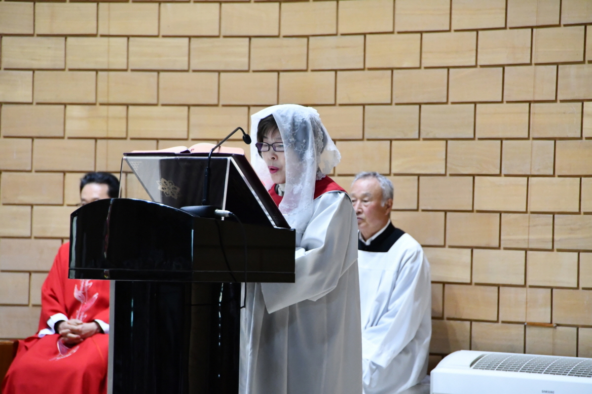 DSC_1704.JPG