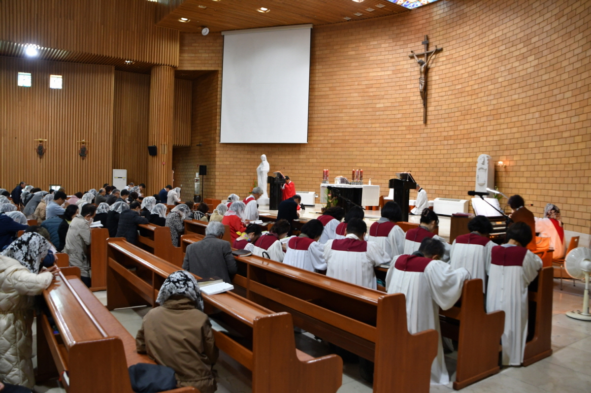 DSC_1762.JPG