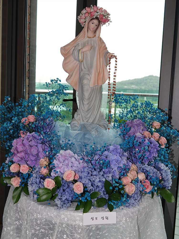 DSC09071.jpg