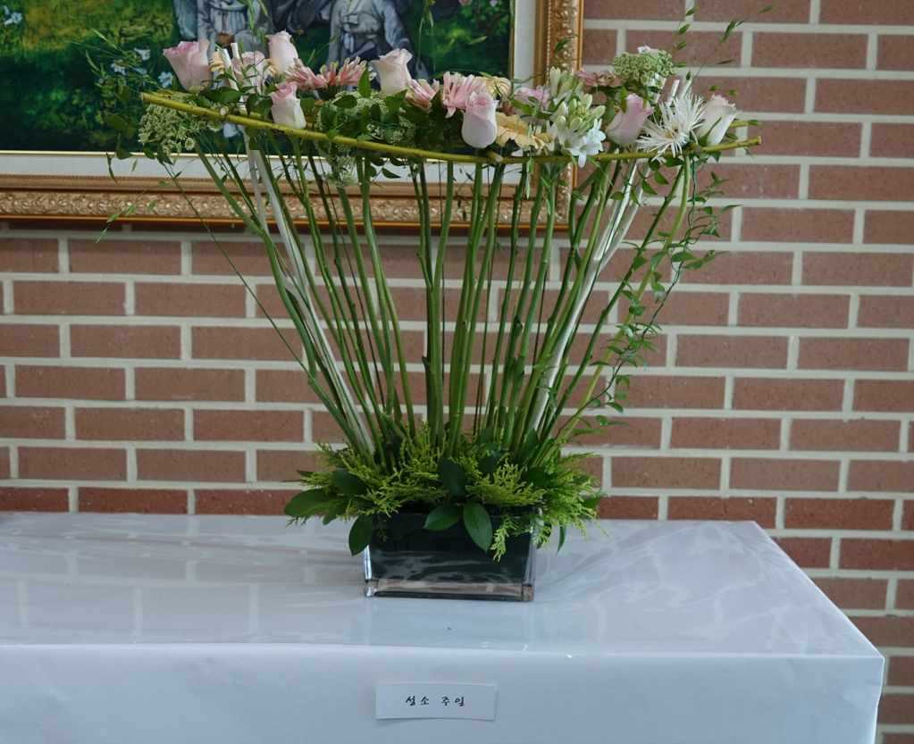 DSC09070.jpg