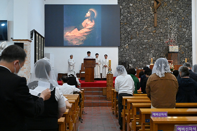 DSC_7175.jpg