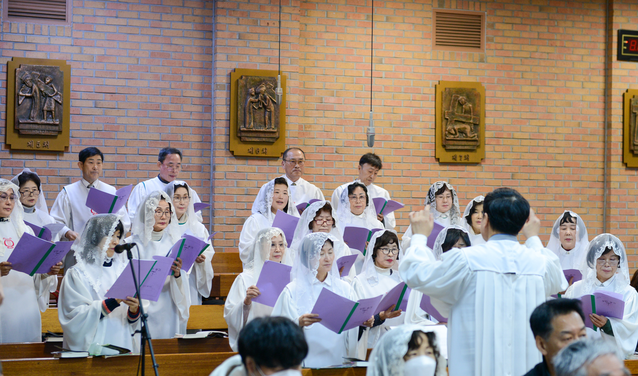 DSC_2650.jpg
