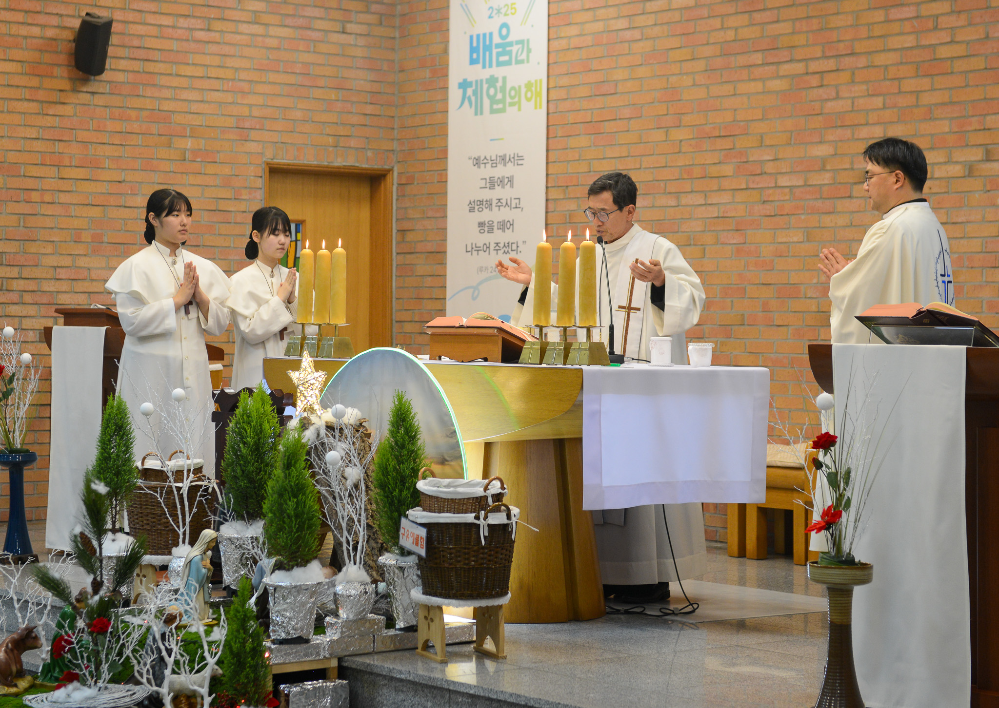 DSC_2598.jpg