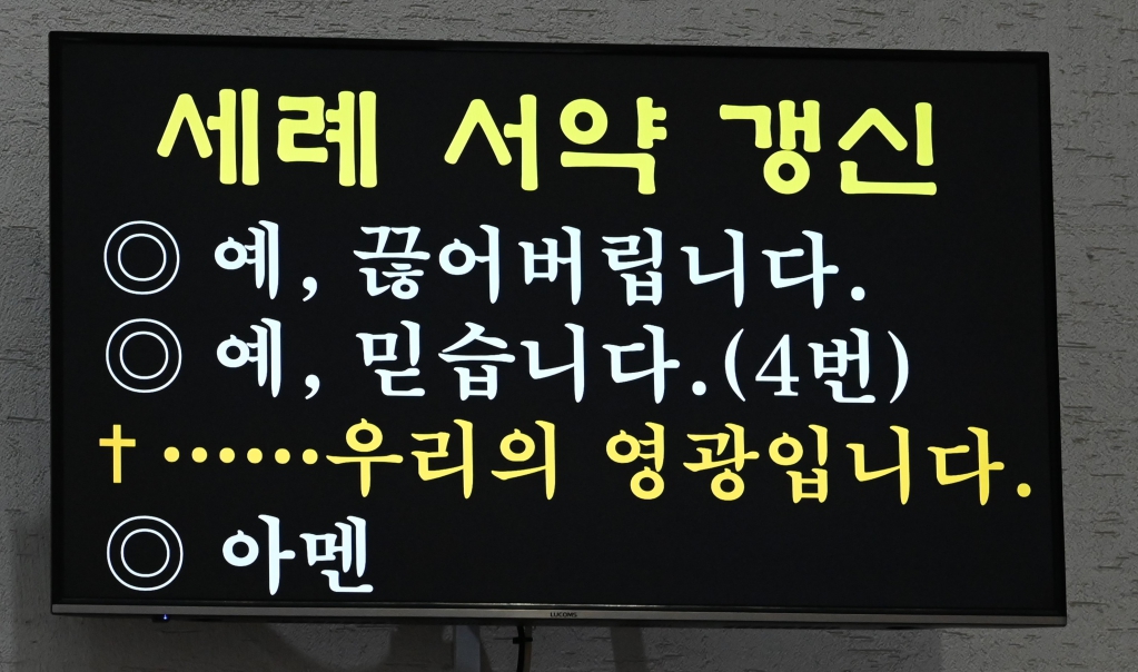 2024년6월2일견진성사6세례갱신.JPG