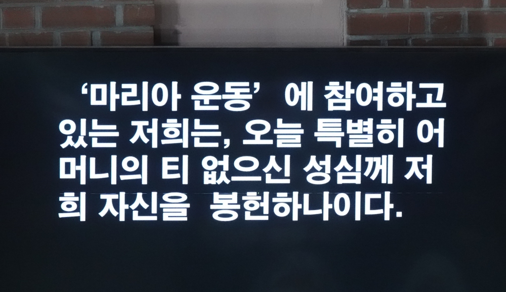 DSC05026 - 복사본.JPG