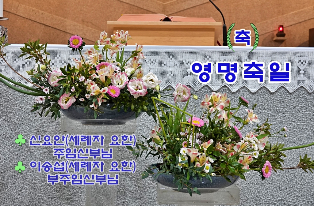 DSC08987-1.JPG