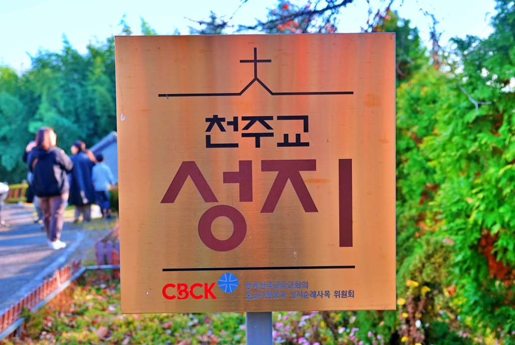 DSC07694-1.JPG