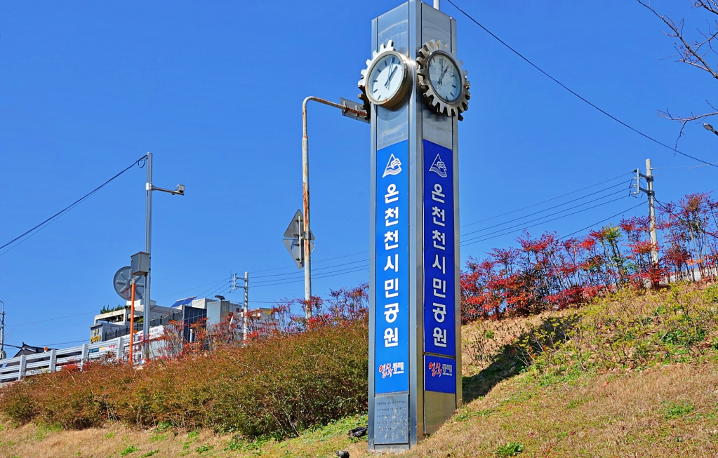 DSC08558-1.JPG