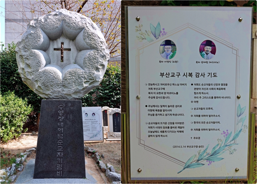 DSC03114-1-side.JPG