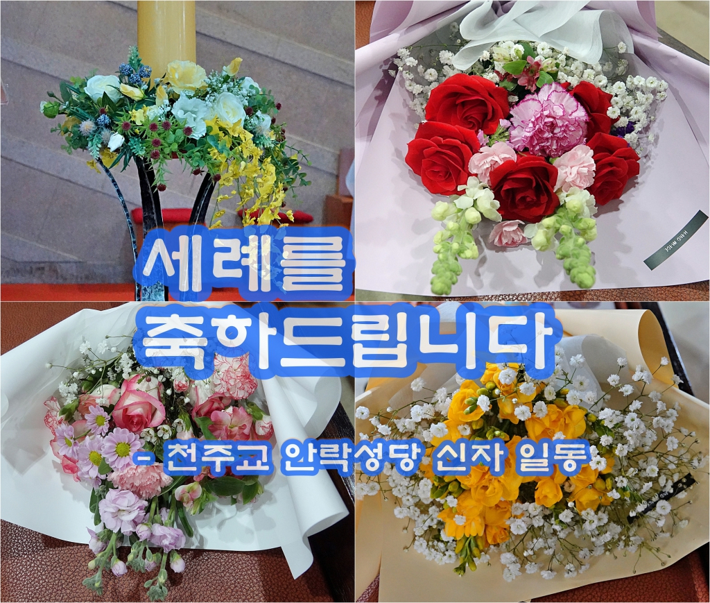 DSC07372-1 - 복사본-tile.JPG