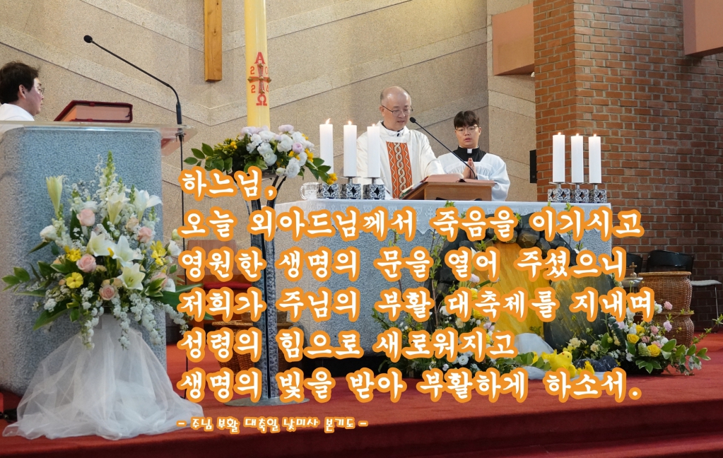 DSC02880-1.JPG