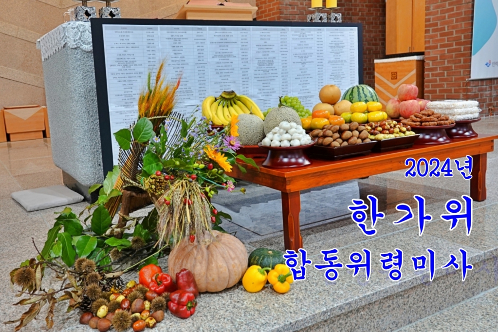 DSC02605-1.JPG