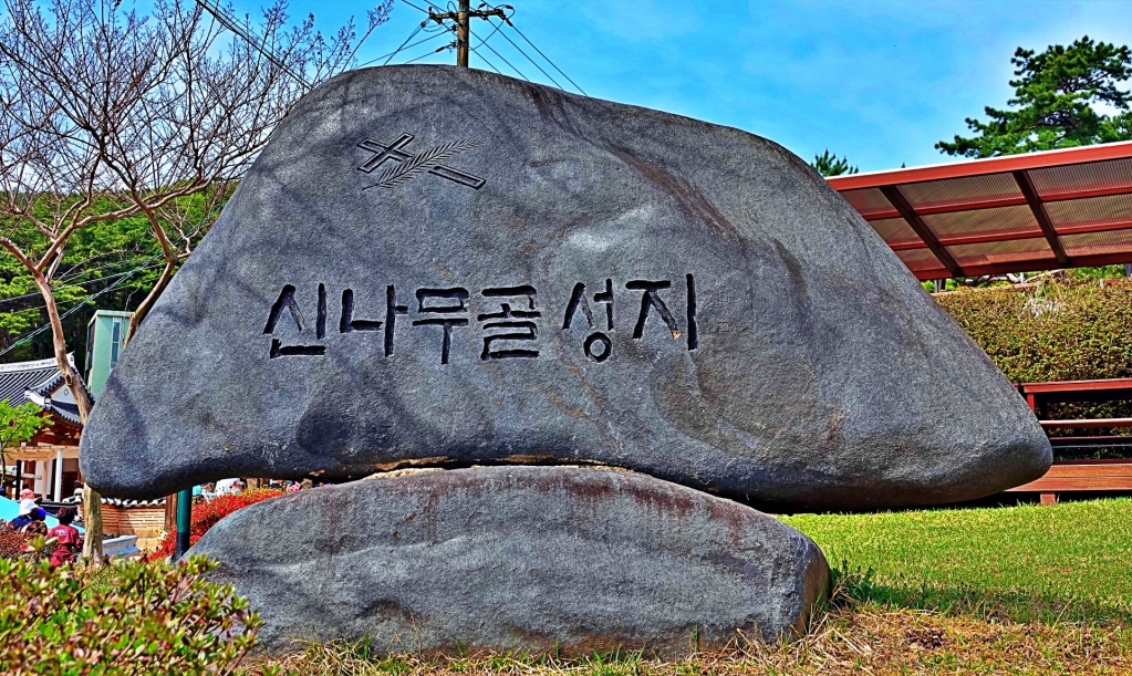 DSC03588-1.JPG